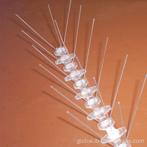 Bird Spike Stainless Steel Anti Bird Spikes Pigeon Repellent Strips Manufactory